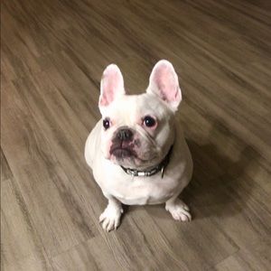 Meet your Posher, Ayal